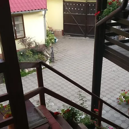 Pensiunea Liana Konukevi Nemsa