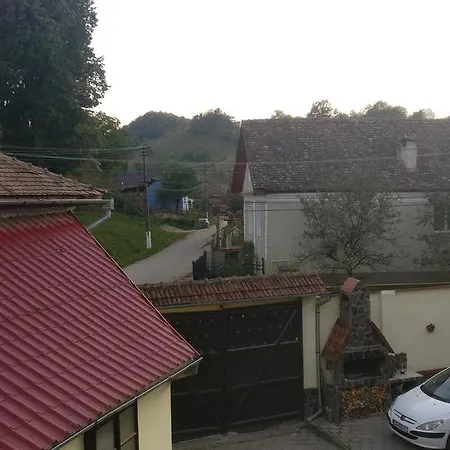 Pensiunea Liana 3*