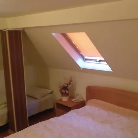 Konukevi Pensiunea Liana 3*