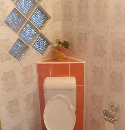Konukevi Pensiunea Liana