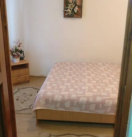 Pensiunea Liana 3* Nemsa