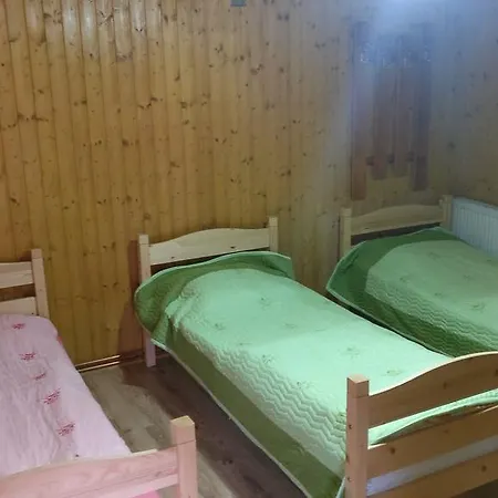 Pensiunea Liana Konukevi Nemsa