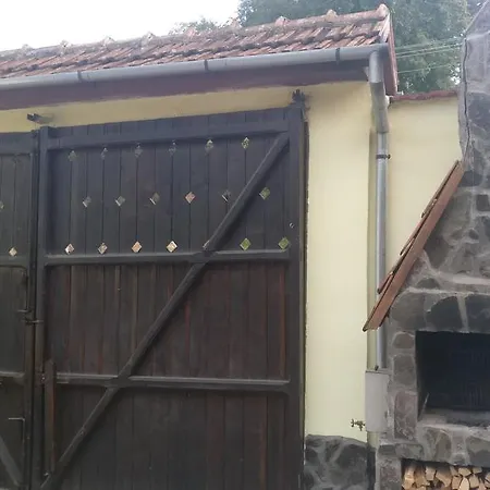 Pensiunea Liana 3* Nemsa