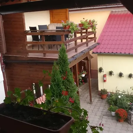 Konukevi Pensiunea Liana